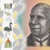AUD 50 Bills